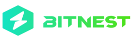 bit-nest-logo-DYU3JcK_